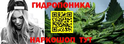 молекула духа Ставрополь