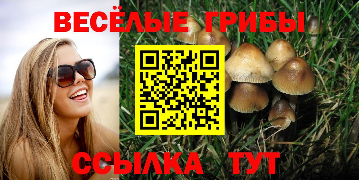 Псилоцибиновые грибы Magic Shrooms  Вход с VPN  Отрадное 
